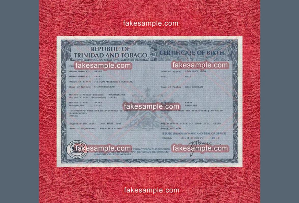 Elevating Documentation to an Art Form with Fake-Sample